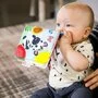 Jucarie dentitie, Baby Einstein, In forma de carte Cu maner, Cu texturi si culori, Maner din plastic, Fara BPA, 0 luni+, Multicolor - 7