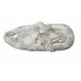 Somnart - Baby Nest : Cosulet bebelusi + Salteluta 42x84x2 cm + Paturica 70x70 cm model Elegant Armonia - 2