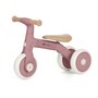 Bicicleta/tricicleta, Petite&Mars, 3 in 1, Multifunctionala, Cu/fara pedale, Ghidon directionabil, Sa reglabila pe inaltime, 2.3 kg, Pana la 25 kg, 12-36 luni, Roz - 5