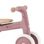 Bicicleta/tricicleta, Petite&Mars, 3 in 1, Multifunctionala, Cu/fara pedale, Ghidon directionabil, Sa reglabila pe inaltime, 2.3 kg, Pana la 25 kg, 12-36 luni, Roz - 10