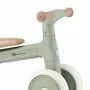 Bicicleta/tricicleta, Petite&Mars, 3 in 1, Multifunctionala, Cu/fara pedale, Ghidon directionabil, Sa reglabila pe inaltime, 2.3 kg, Pana la 25 kg, 12-36 luni, Verde - 10