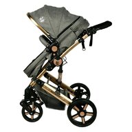 BUF BOOF - Carucior 2 in 1 X-2  reversibil  0-36 luni  Grey Gold