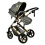 BUF BOOF - Carucior 2 in 1 X-2  reversibil  0-36 luni  Grey Gold - 7
