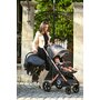 Lorelli - Carucior 2 in 1 Storm , Steel,  Cadru din aluminiu, 0-22 kg, Cu cos auto inclus, Gri - 6