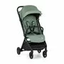 Carucior sport, Petite&Mars, Flip, Pliere compacta cu o mana, Spatar reglabil pana la pozitie de somn, Suport picioare reglabil, Copertina extensibila cu protectie UPF50+, Pana la 22 kg, 0 luni+, Verde Matcha - 11