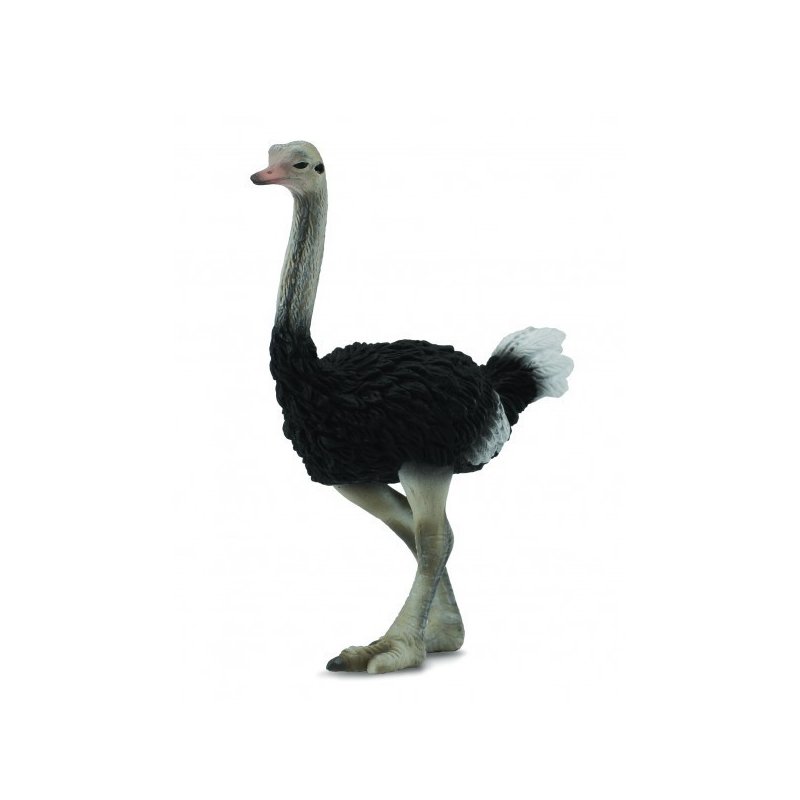 Collecta - Figurina Strut L