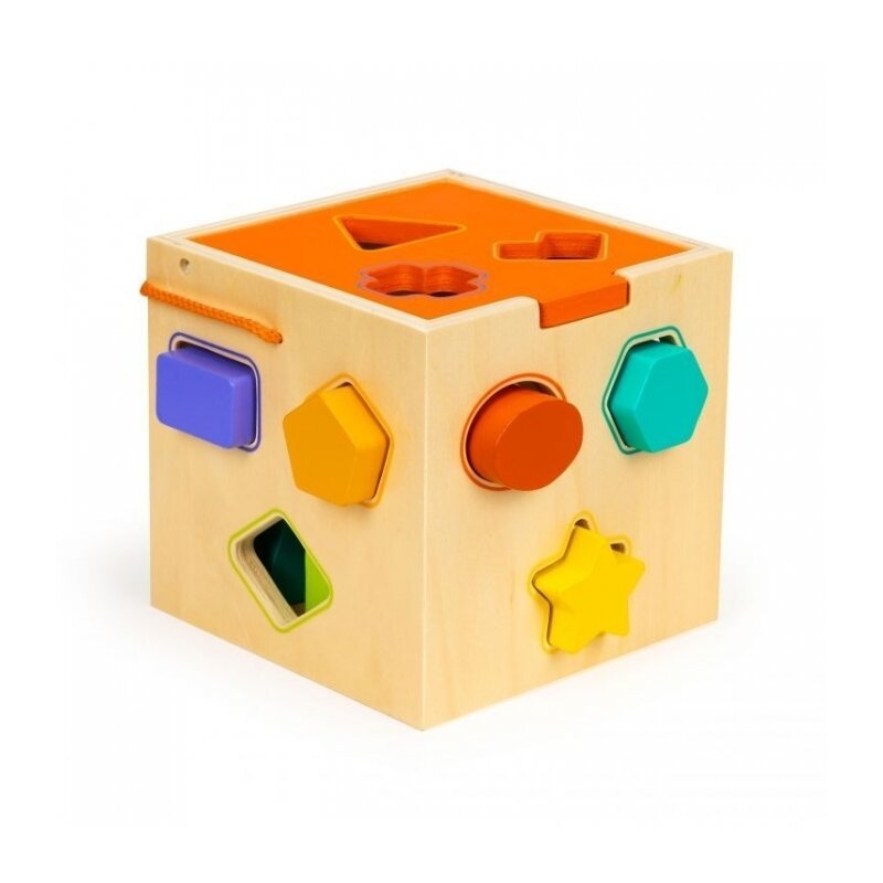 Ecotoys - cub educational cu blocuri din lemn si sortator ph05m015