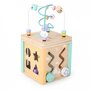 Cub educational din lemn cu labirint si sortator Ecotoys HM015472 - 4