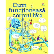 Corint - Cum functioneaza corpul tau