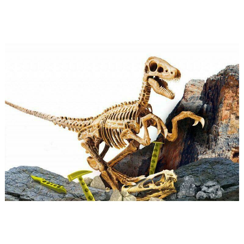 Lisciani - Experimentele micului geniu - Kit paleontologie Velociraptor