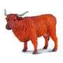 Collecta - Figurina Vaca Highland - 1