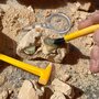 GeoSafari - Kit excavare fosile - 4