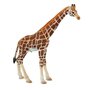 Bullyland - Figurina Girafa mascul - 1