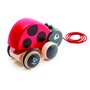 Hape - Jucarie de tras Buburuza - 5