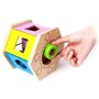 Hape - Jucarie Sorteaza si potriveste - 4