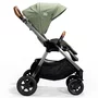 Joie - Carucior 0+ Finiti Signature Pine - 5