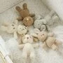 Jucarie plus bebelusi, Nattou, Baby Dog, 24 cm, Material moale si pufos, Prieten de joaca si mangaiere, Stimuleaza simtul tactil si motricitatea fina, 0 luni+, Bej - 3