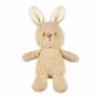 Jucarie plus bebelusi, Nattou, Baby Rabbit, 24 cm, Material moale, Stimuleaza simtul tactil si motricitatea fina, Prieten de joaca si mangaiere, 0 luni+, Bej - 1