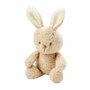 Jucarie plus bebelusi, Nattou, Baby Rabbit, 24 cm, Material moale, Stimuleaza simtul tactil si motricitatea fina, Prieten de joaca si mangaiere, 0 luni+, Bej - 2