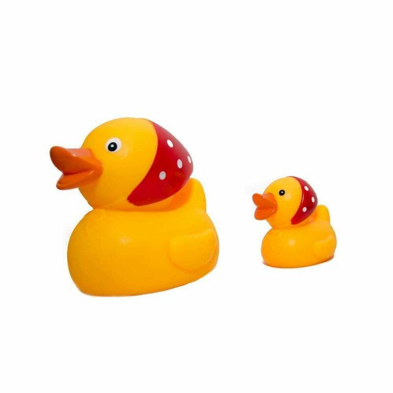 Hencz toys - set familia ratuste - mama cu pui