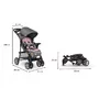 Carucior sport, Lionelo, Emma Plus, Cu tavita, 2 Suporturi pentru pahar, Geanta accesorii, Conform cu standardul european de securitate EN1888-1, Pink Scandi - 18