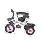 Tricicleta multifunctionala MamaLove Rider Gri - 4