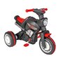 Motocicleta copii, Pilsan, Cu pedale Cobra 6V Cu lant - 1