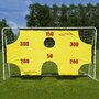 Net Playz - Poarta de fotbal cu marcaje 290x165x90 cm - 6