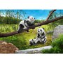 Playmobil - Set figurine Panda cu pui Family Fun - 3