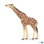 Figurina Papo-Girafa cu cap ridicat - 1