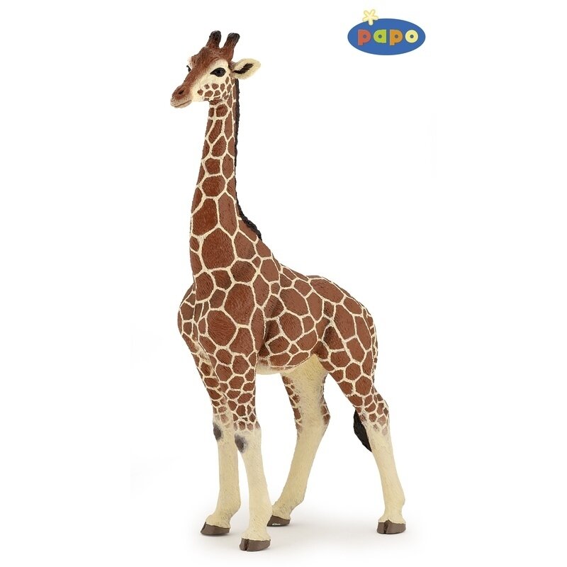 Girafa mascul - Figurina Papo