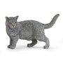 Figurina Papo-Pisica Chartreux - 1