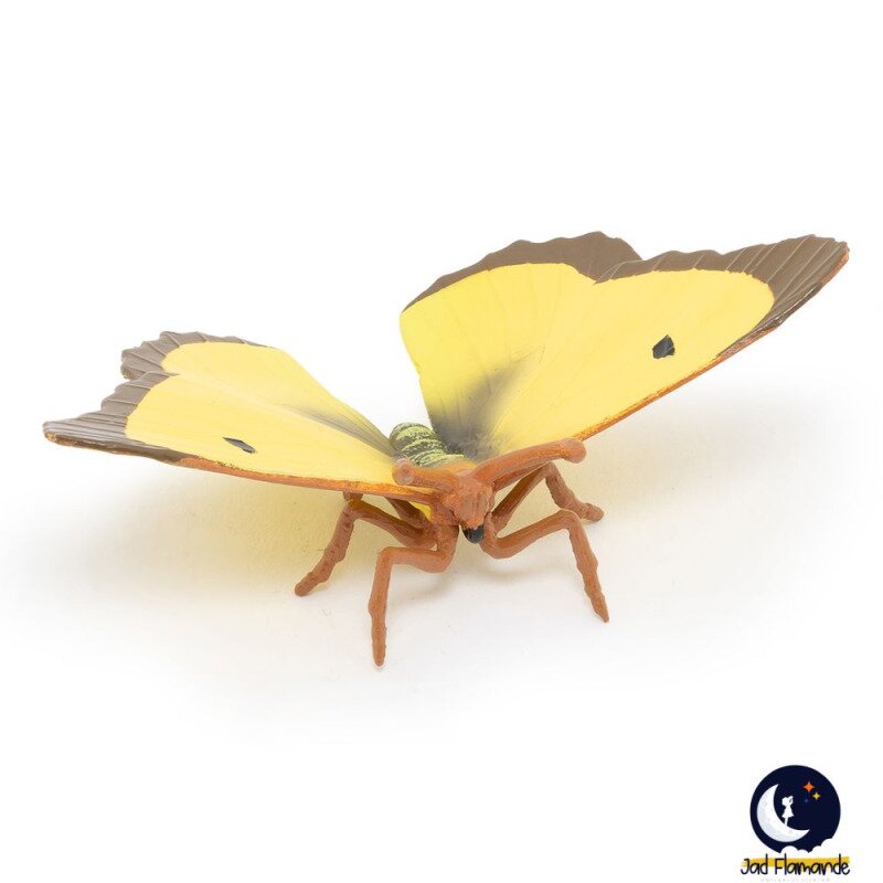 Papo-fluture galbiorul migrator