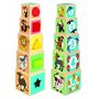 Rs toys - Piramida cuburi  cu sortator - 1