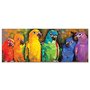 Melissa & Doug Puzzle 1000 Piese Papagali Curcubeu - 1