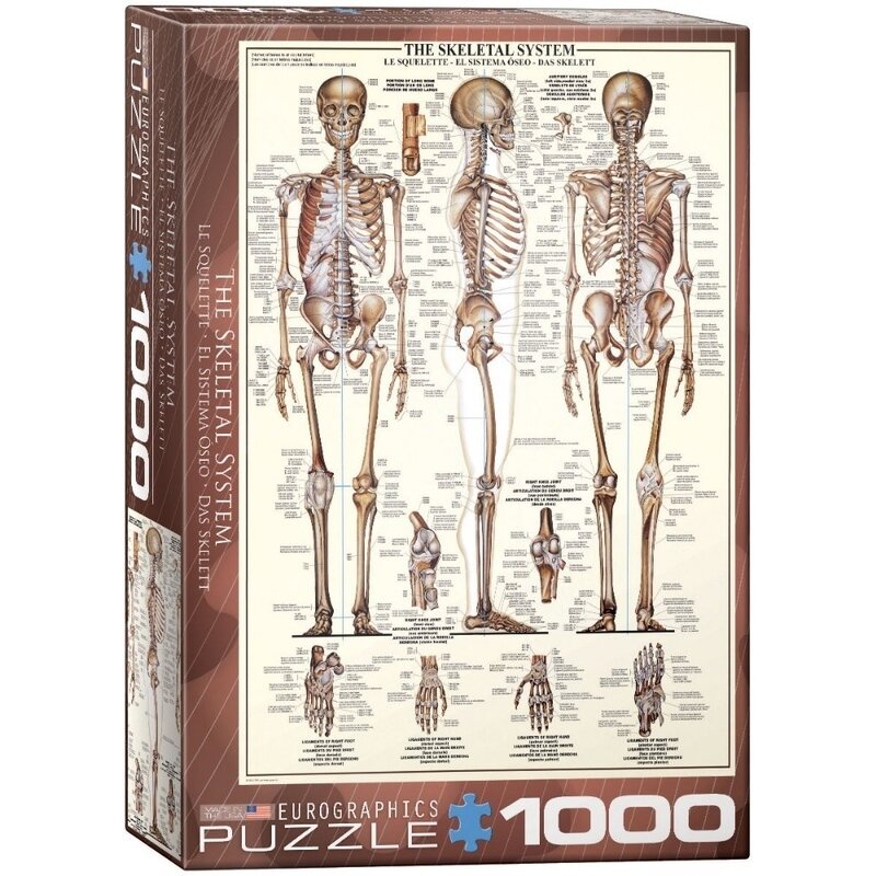 Puzzle 1000 piese The Skeletal System