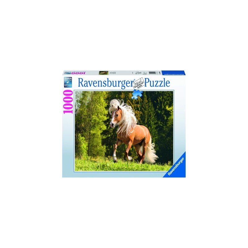 Ravensburger - PUZZLE CAL PE PAJISTE, 1000 PIESE
