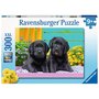 Ravensburger - Puzzle animale Catelusi Puzzle Copii, piese 300 - 2