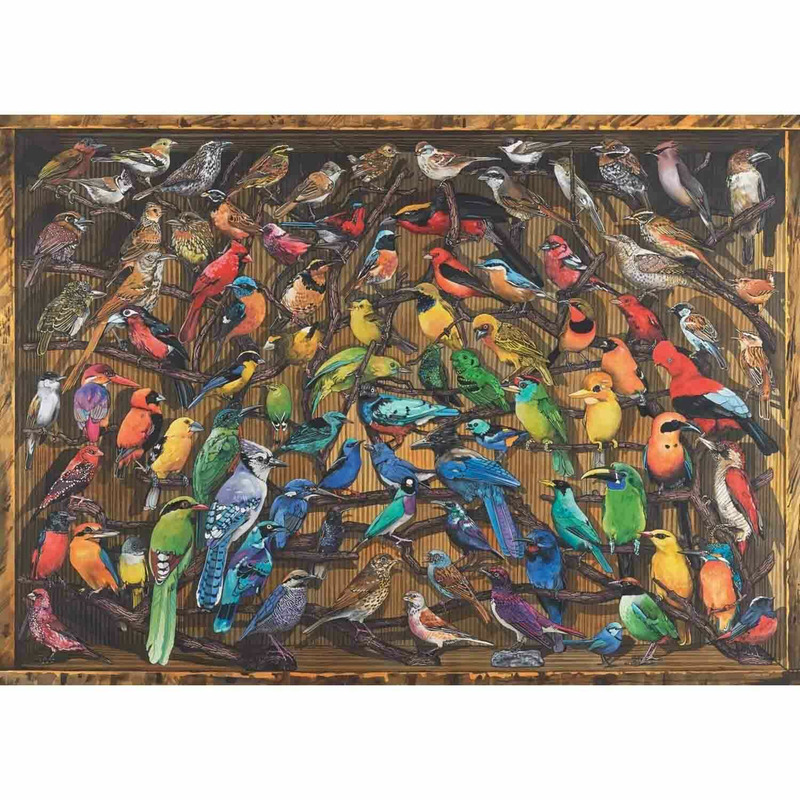 Puzzle curcubeu de pasari, 1000 piese