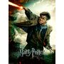 Puzzle Harry Potter, 100 Piese - 1