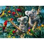 Puzzle Koala In Copac, 500 Piese - 2