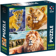 Puzzle Lion family, 47x67 cm, 1000 piese De.tail DT1000-01