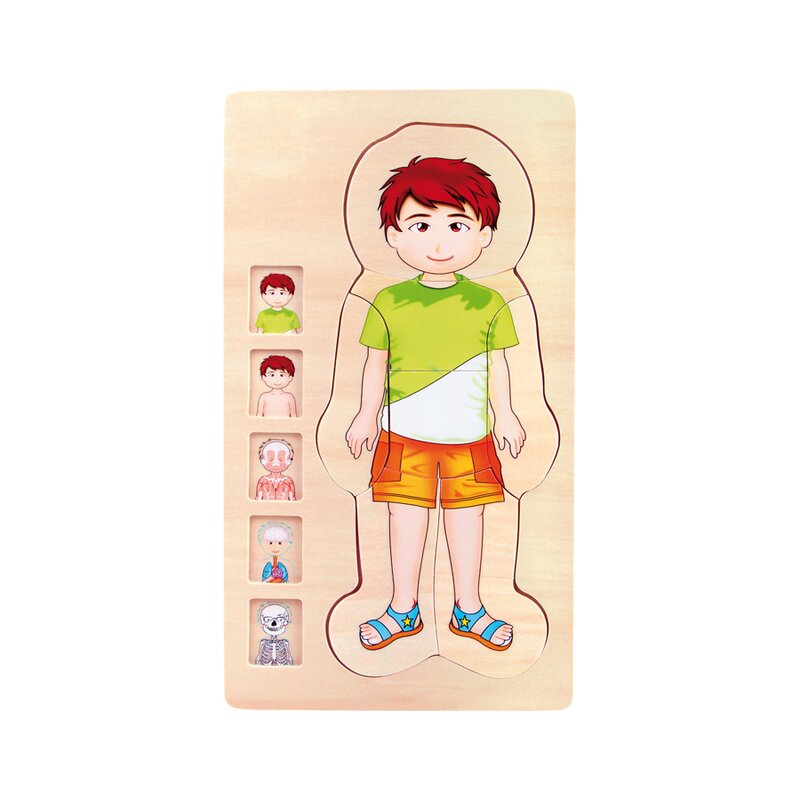 Small foot - puzzle multistrat de anatomie - baiat