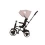 Tricicleta pliabila pentru copii QPlay Rito Violet - 14