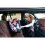 Lorelli - Scaun auto Proxima I-Size , Spatar reglabil, Protectie laterala, Rotire 360 grade, 40-105 cm, 0-18 Kg, cu Isofix, Albastru/Negru - 5