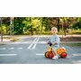 Bicicleta fara pedale, Lionelo, Sammy, Cu 4 roti, Din spuma EVA, Stabila, Manere moi, antiderapante, 12- 36 luni, Greutate maxima suportata 25 kg + Casca pentru copii, Reglabila 50-56 cm, Roz - 29