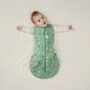 Sistem de infasat si sac de dormit, ErgoPouch, 2 in 1, 0-3 luni, 3-6 kg, TOG 2.5, Bumbac organic, Fermoar bidirectional, Transformabil, Lavabil la masina, Certificat non-toxic, Premiat in Australia, Model Sweet Orchard - 3