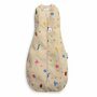 Sistem de infasat si sac de dormit, ErgoPouch, 2 in 1, 3-6 luni, 6-8 kg, TOG 1, Bumbac organic, Fermoar bidirectional, Transformabil, Lavabil la masina, Certificat non-toxic, Premiat in Australia, Multicolor - 1