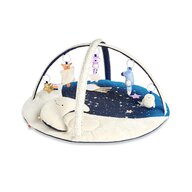 Skip Hop - Salteluta de activitati Vise placute