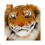 Melissa & Doug - Tigru Gigant Din Plus - 2